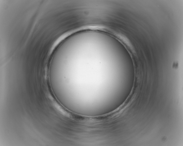 X0000091851420200709050926