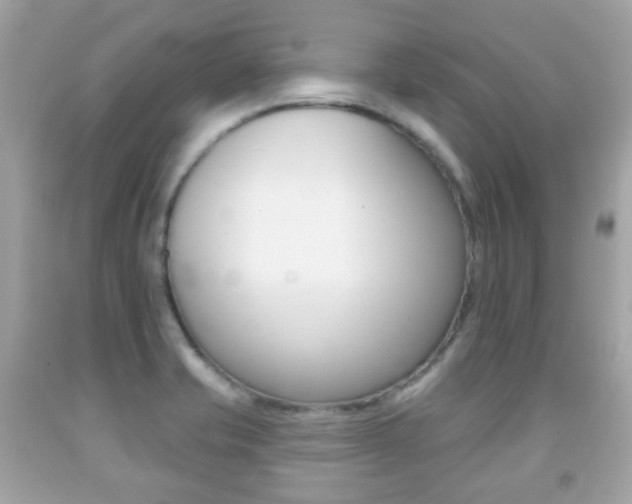 X0000091851421200709050926