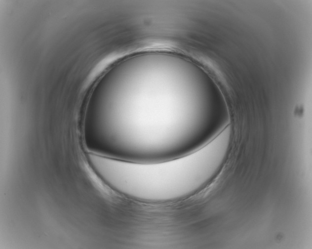 X0000091851422200709050926