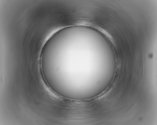 X0000091851423200709050926