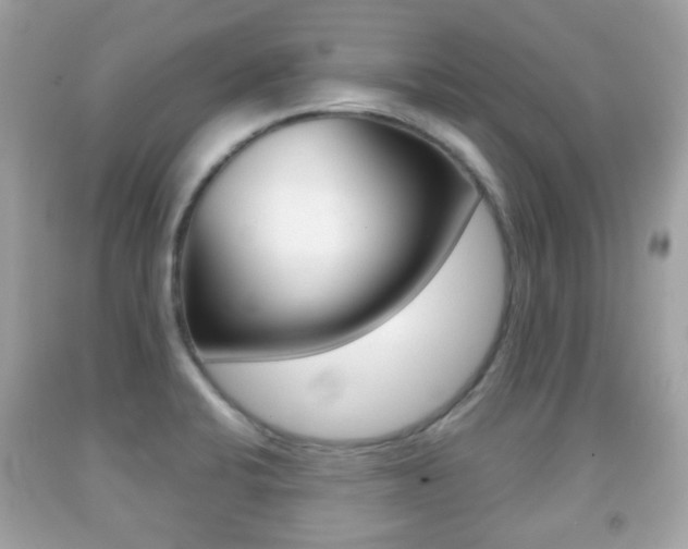X0000091851424200709050926