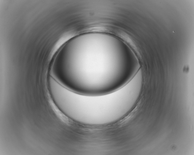 X0000091851426200709050926