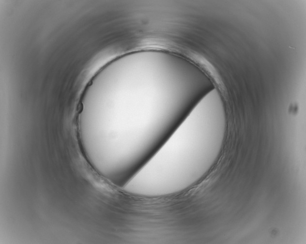 X0000091851427200709050926