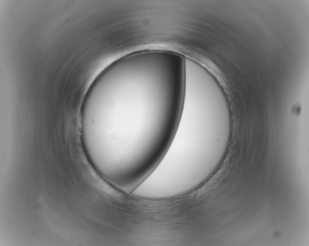 X0000091851428200709050926