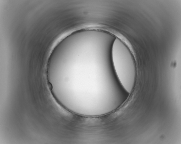 X0000091851429200709050926