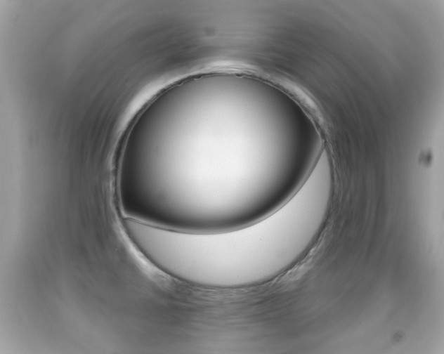 X0000091851430200709050926