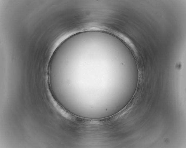 X0000091851431200709050926