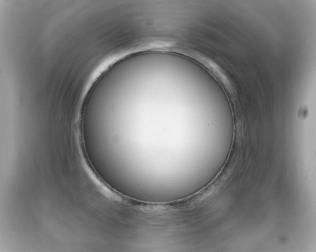 X0000091851432200709050926