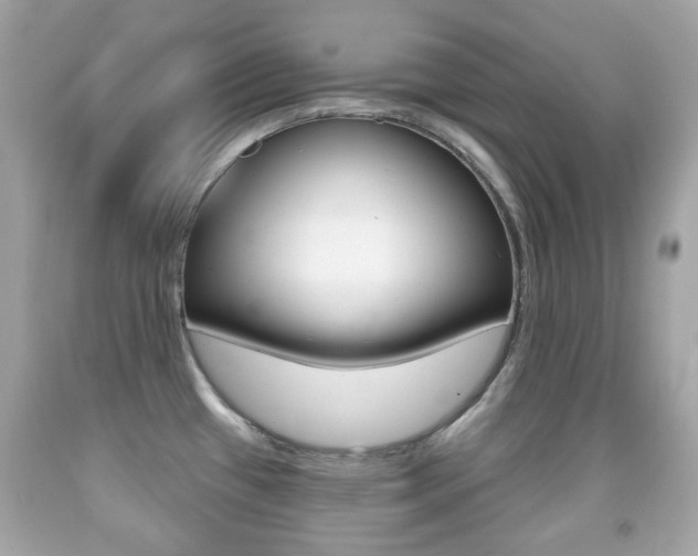 X0000091851433200709050926