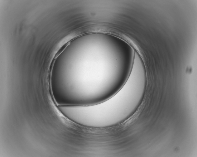 X0000091851434200709050926