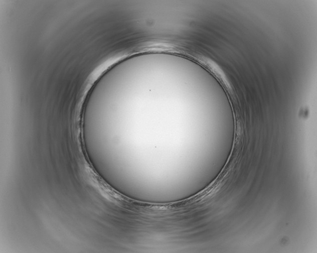 X0000091851435200709050926