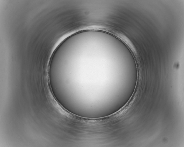 X0000091851436200709050926