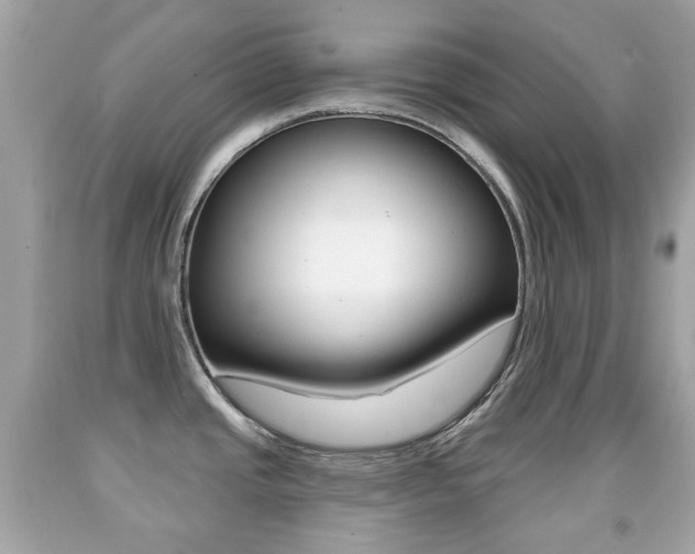 X0000091851437200709050926