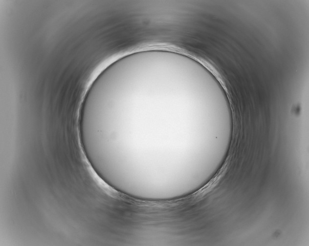 X0000091851438200709050926