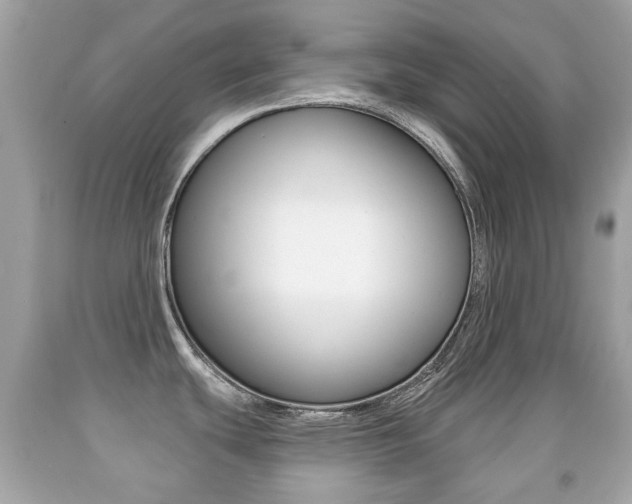 X0000091851439200709050926