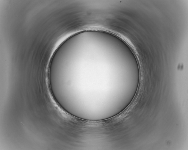 X0000091851440200709050926