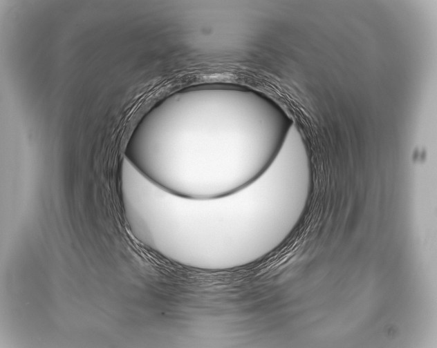 X0000091851441200709050926