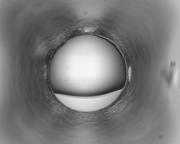 X0000091851443200709050926