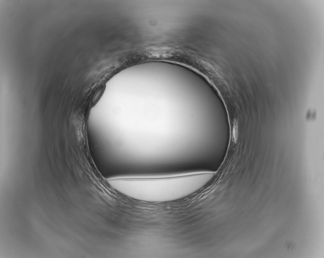X0000091851444200709050926