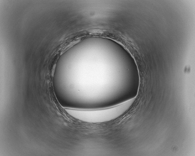 X0000091851445200709050926