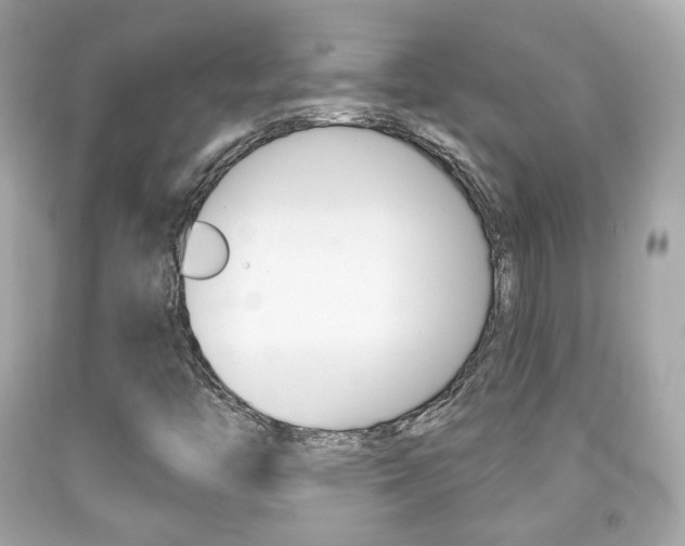 X0000091851446200709050926
