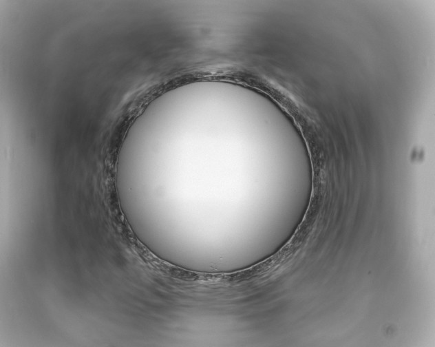 X0000091851447200709050926