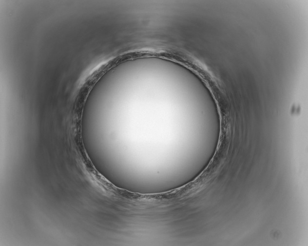X0000091851448200709050926