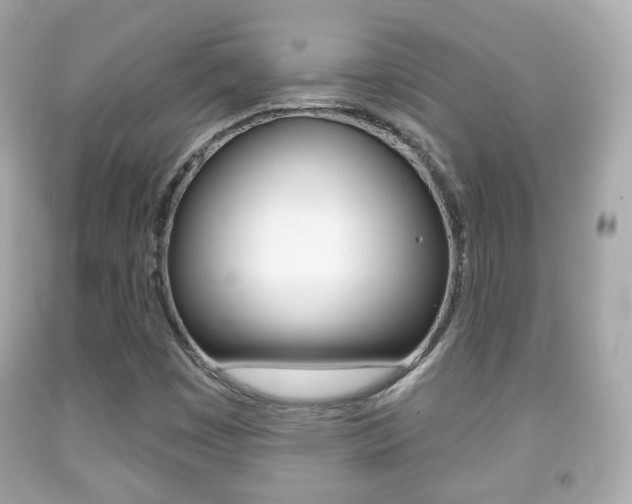 X0000091851449200709050926
