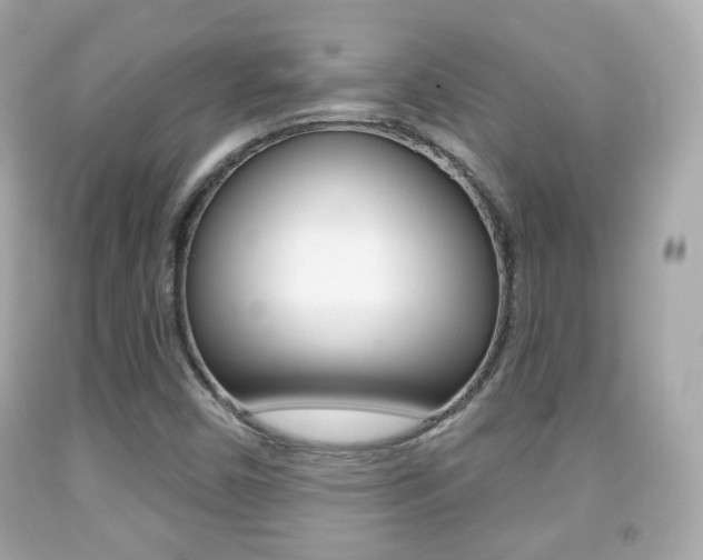 X0000091851450200709050926