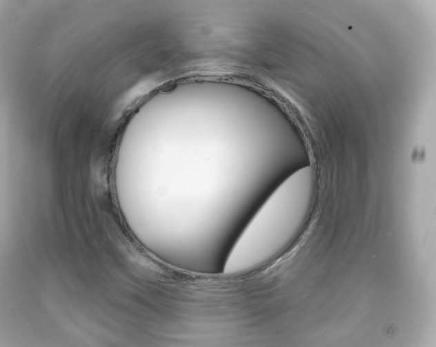 X0000091851451200709050926