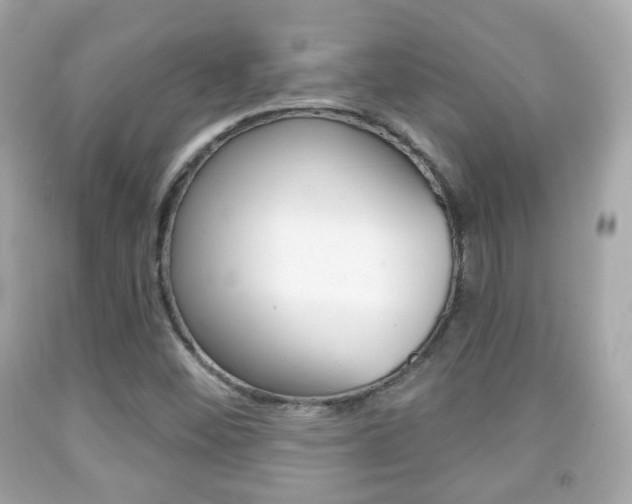 X0000091851452200709050926