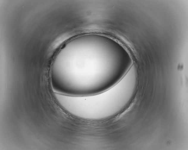 X0000091851453200709050926