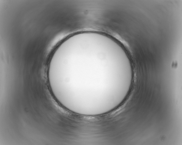 X0000091851454200709050926