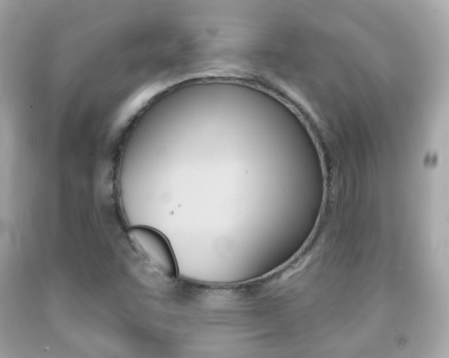 X0000091851455200709050926