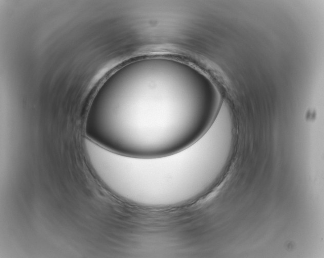X0000091851457200709050925