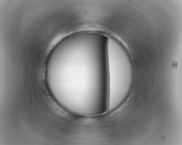 X0000091851459200709050925