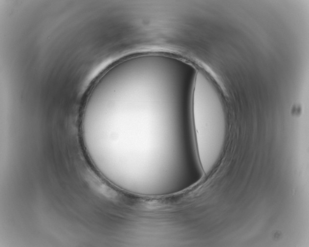 X0000091851460200709050925