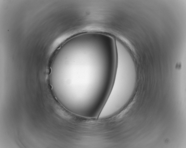 X0000091851461200709050925