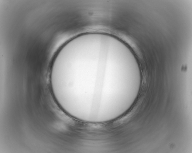 X0000091851462200709050925