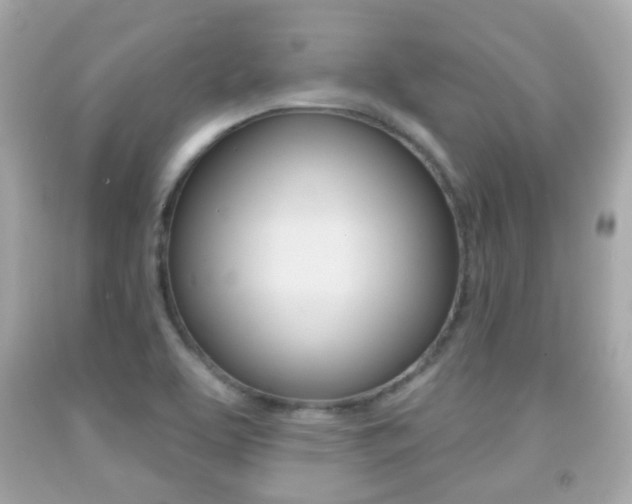 X0000091851463200709050925
