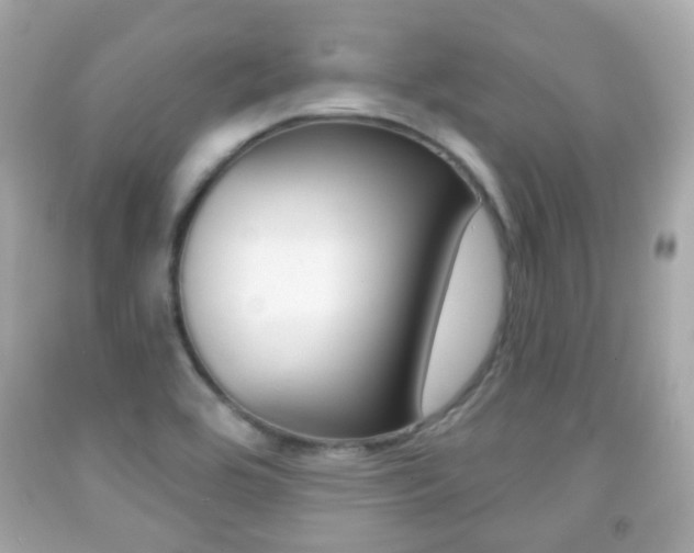 X0000091851464200709050925