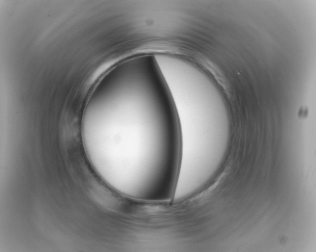 X0000091851465200709050925