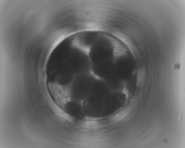 X0000091851467200709050925