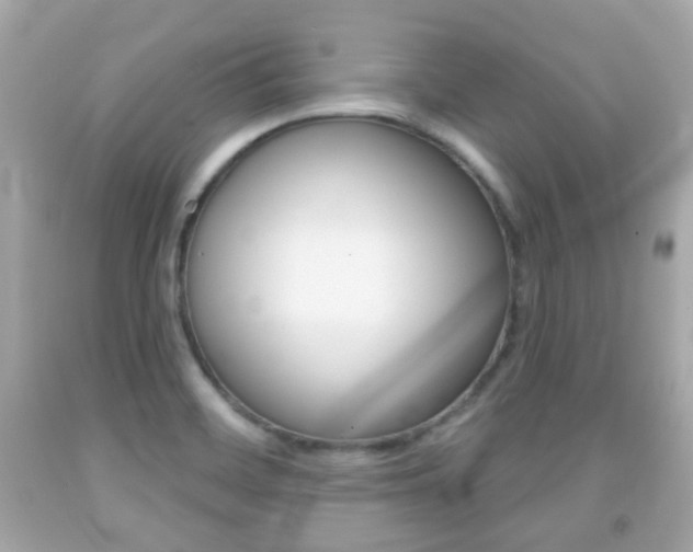 X0000091851468200709050925