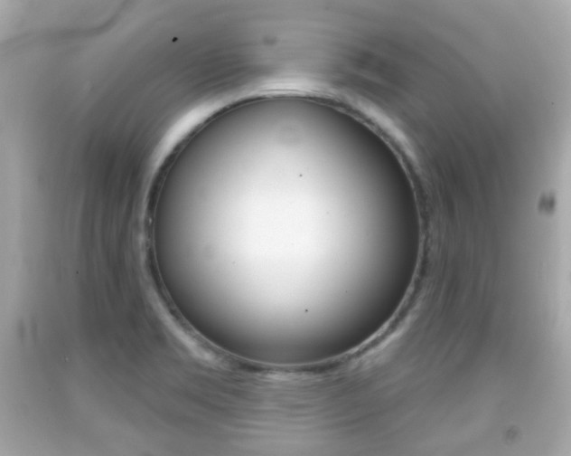 X0000091851469200709050925