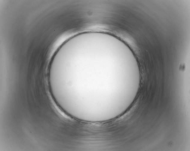 X0000091851470200709050925