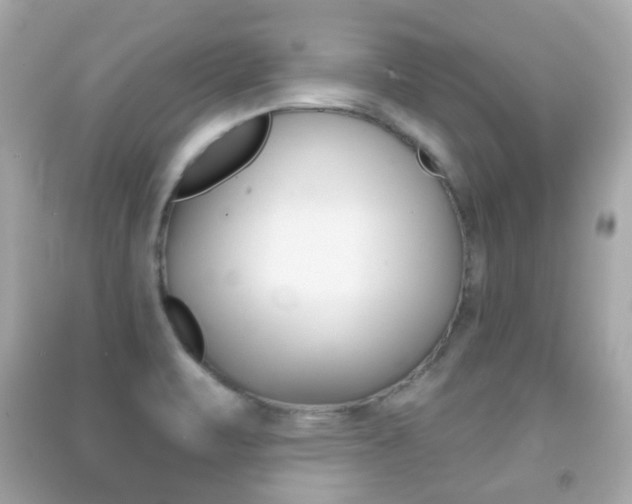 X0000091851471200709050925