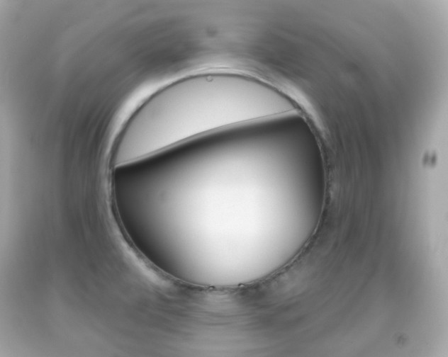 X0000091851472200709050925