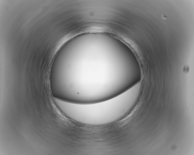 X0000091851473200709050925