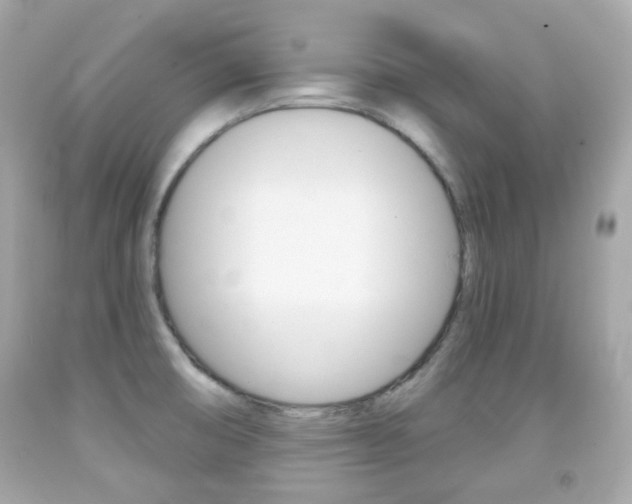 X0000091851474200709050925